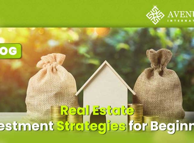 Real Estate Investment